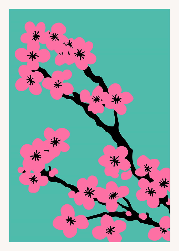 Cherry blossom