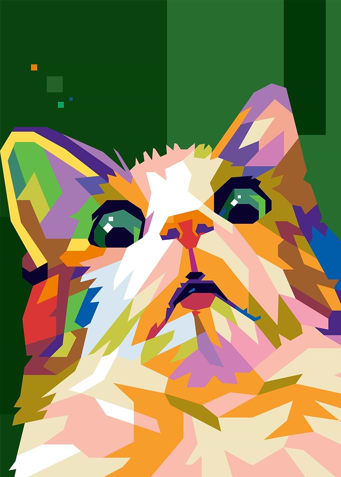 scared cat meme