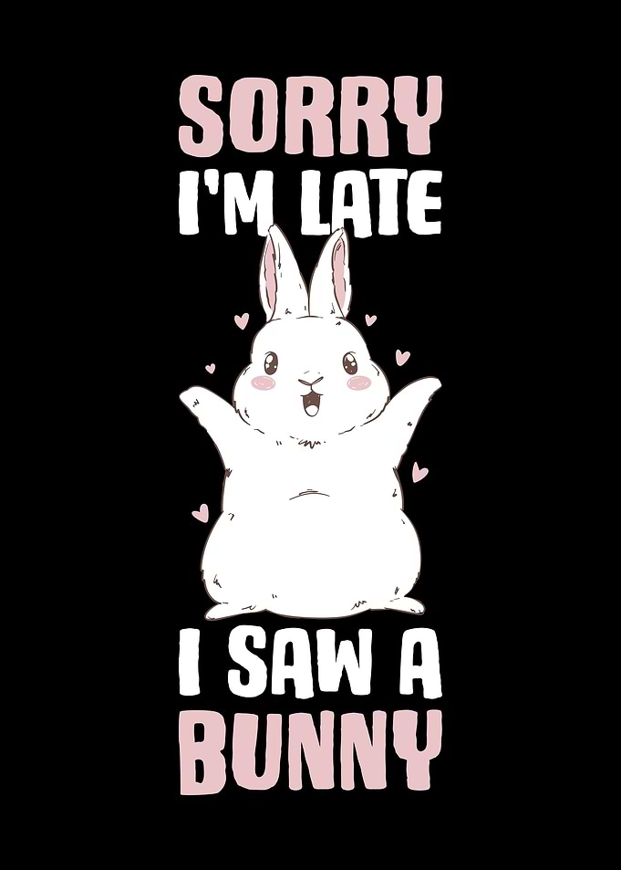 Sorry Im Late I Saw A