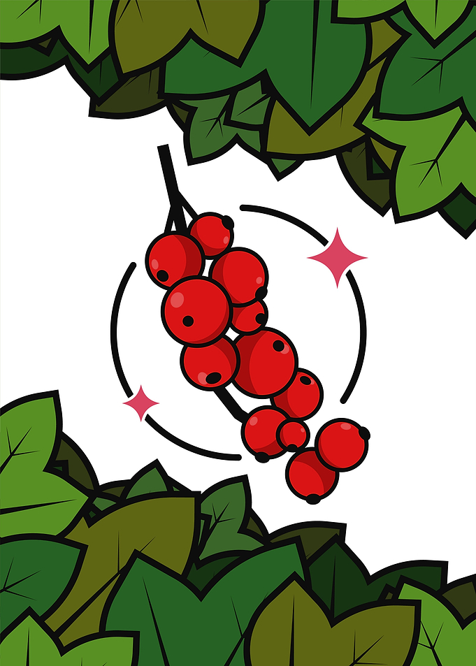 Redcurrants Power