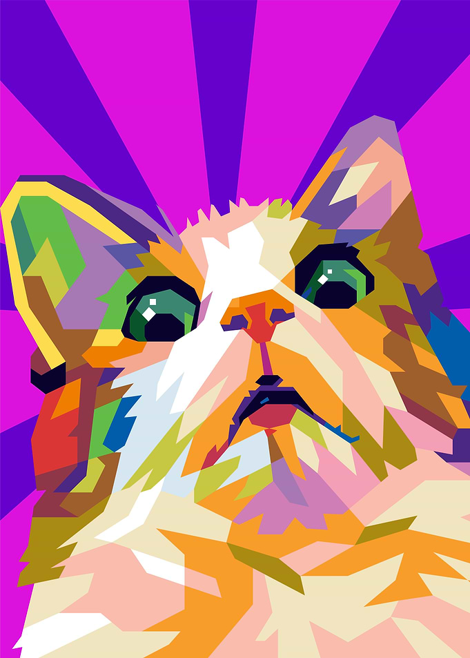 scared cat meme