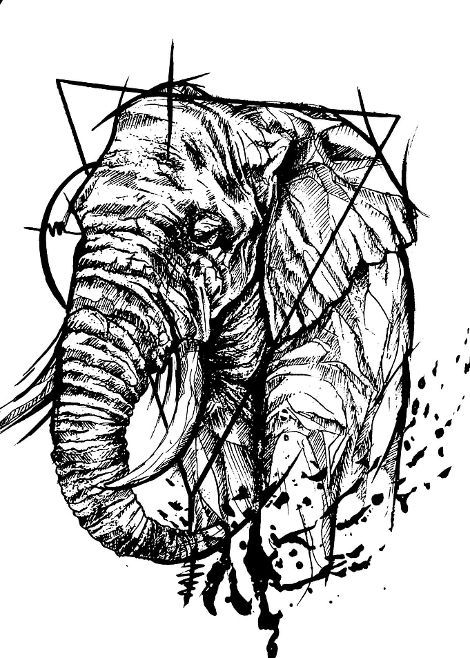 elephant