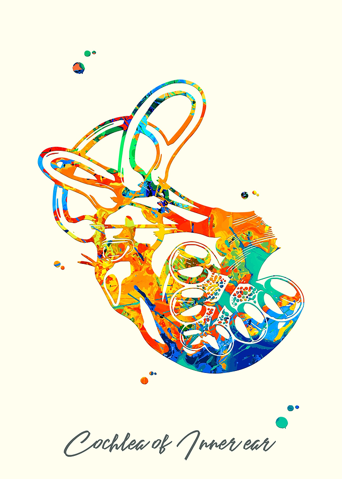 Cochlea of Inner ear