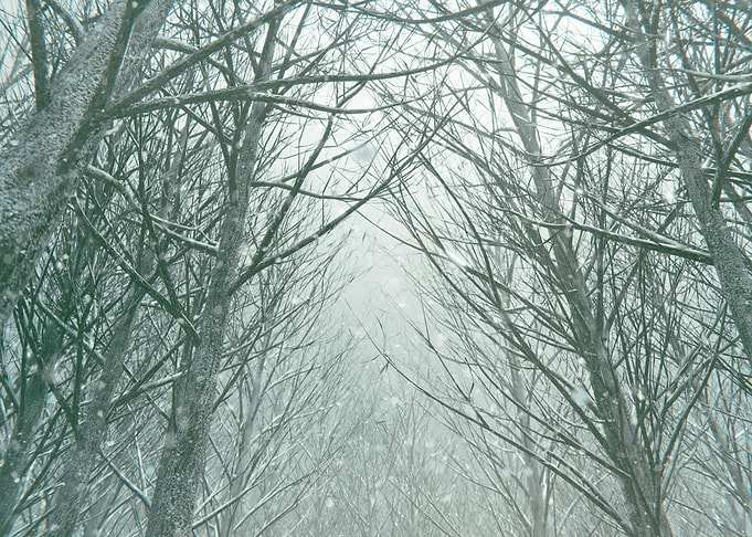 Snow Trip Scene 1