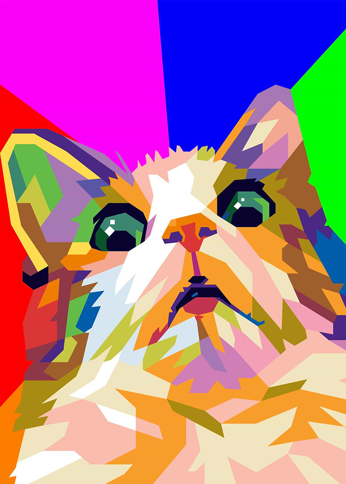 scared cat meme