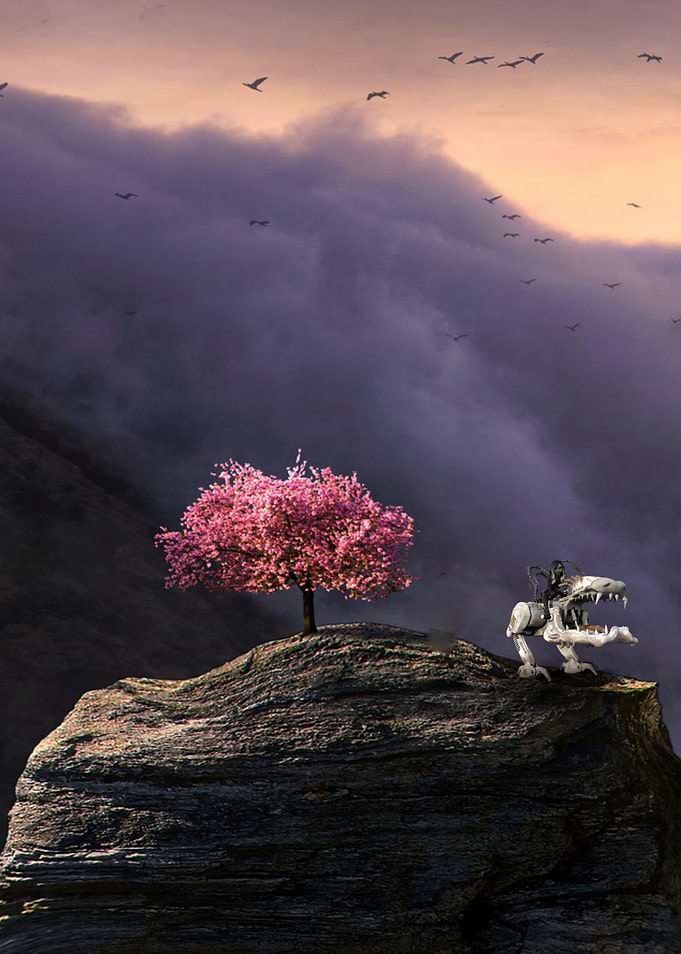 mountain peach blossom