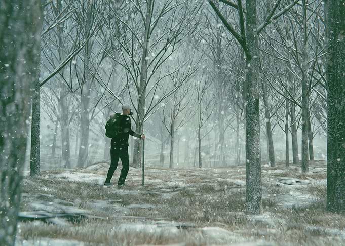 Snow Trip Scene 2