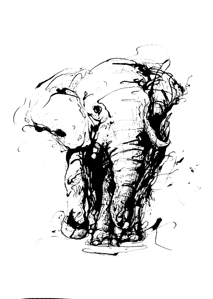 elephant