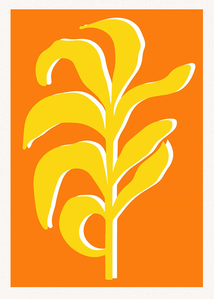 flower home plant
