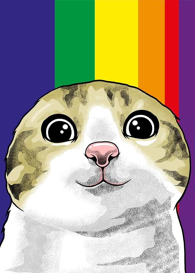 Cat Meme