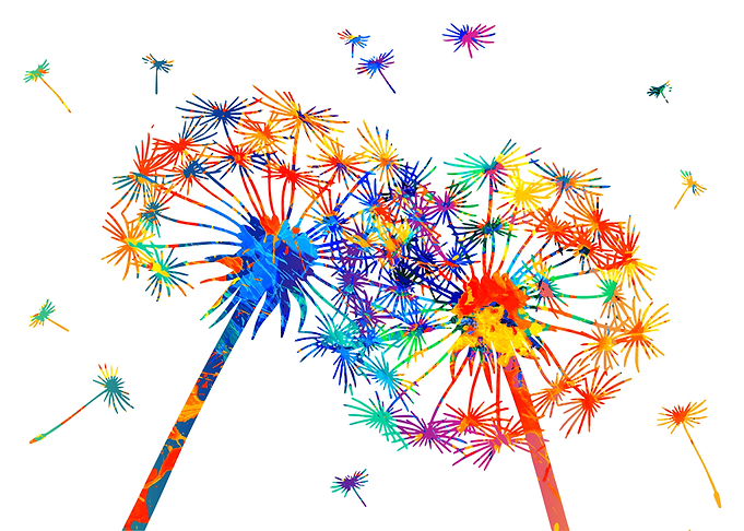 Two Dandelions