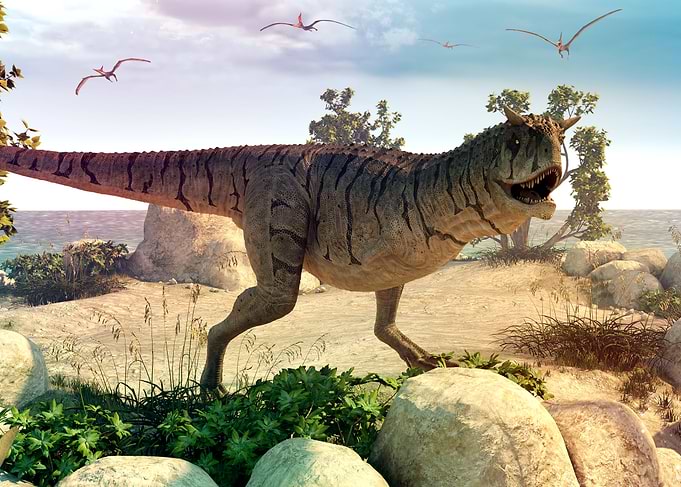 Carnotaurus sastrei dinosa