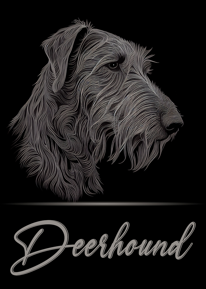 Scottish Deerhound