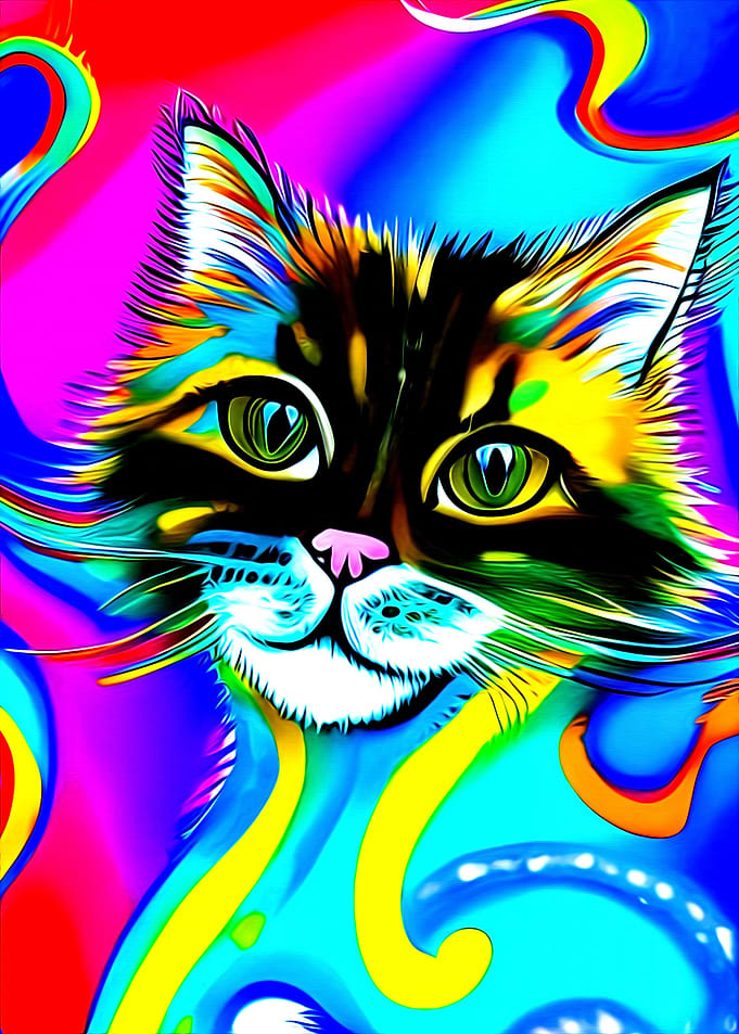 Psychedelic Kitten