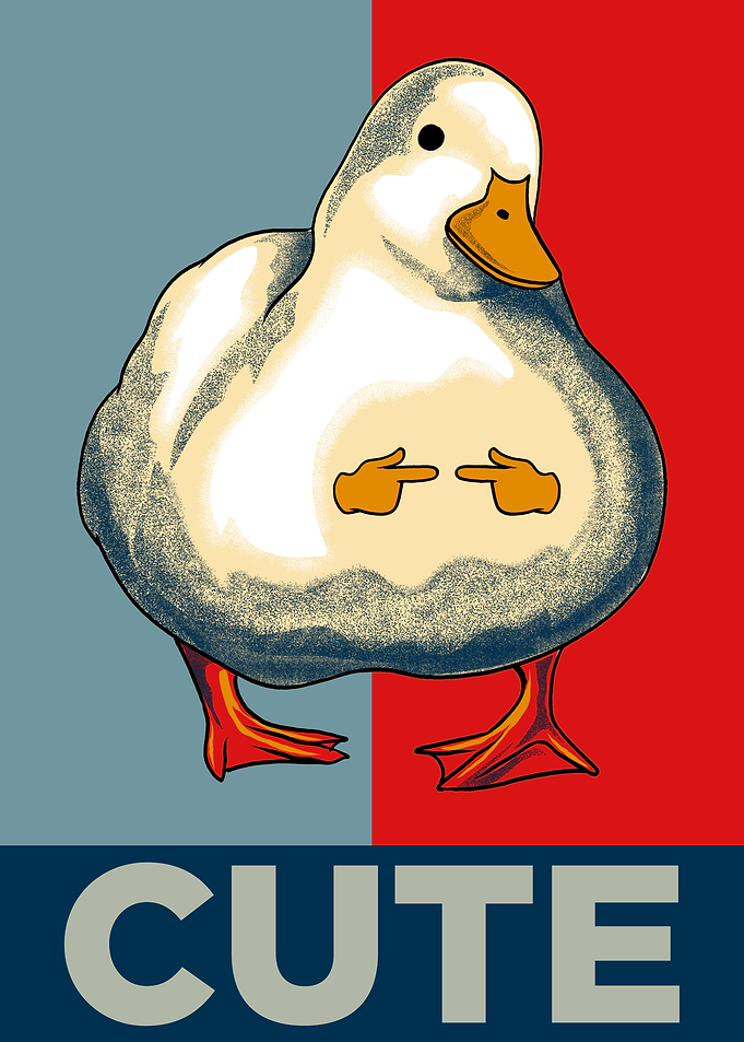 Duck Meme