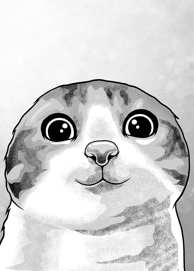 Smile Cat Meme