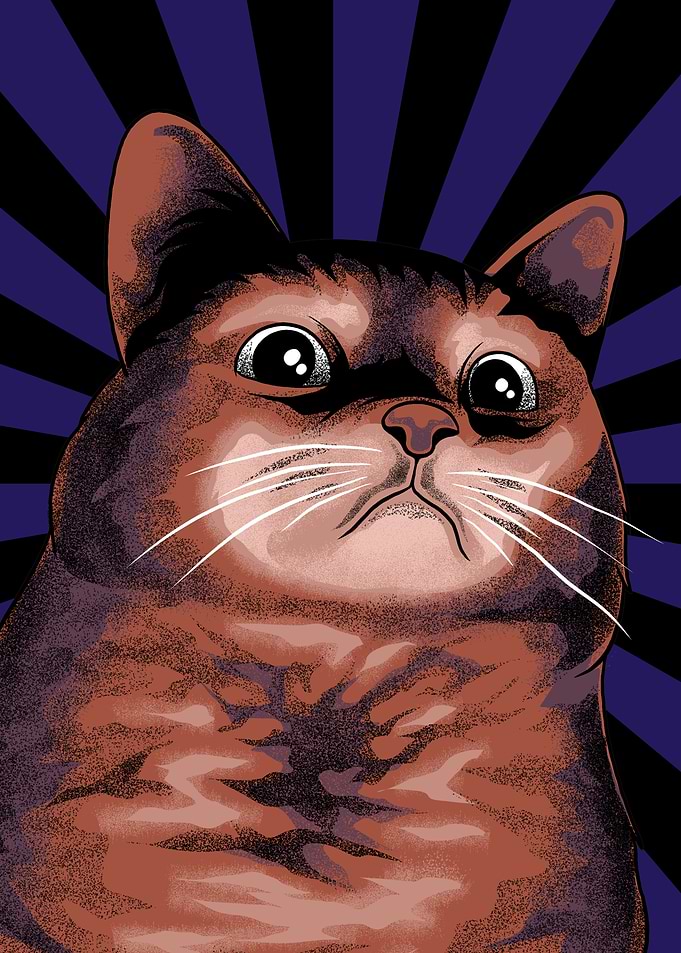 Pathetic Cat Meme