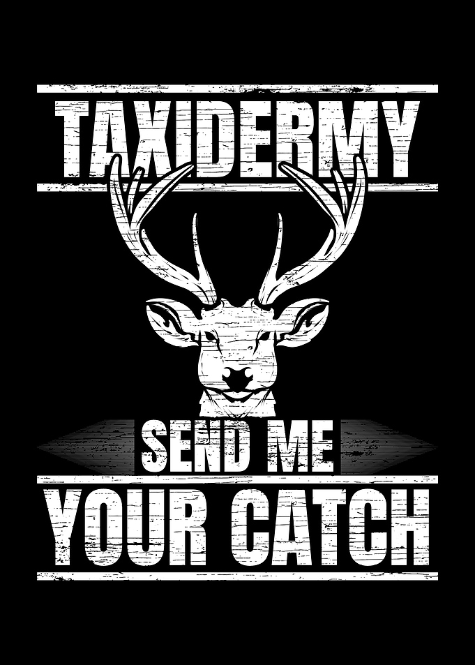 Taxidermist Taxidermy