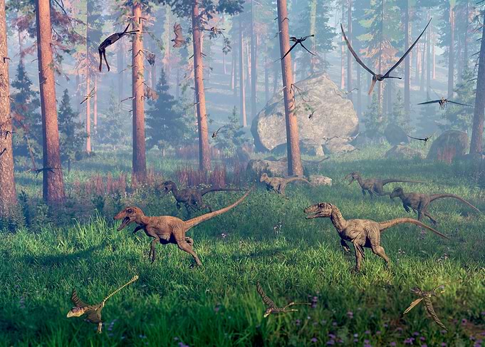 Raptor Dinosaur