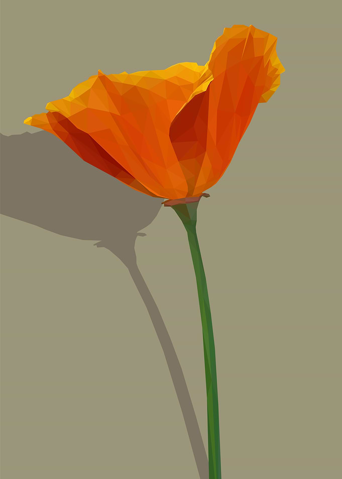 Low Poly Red Orange Poppy