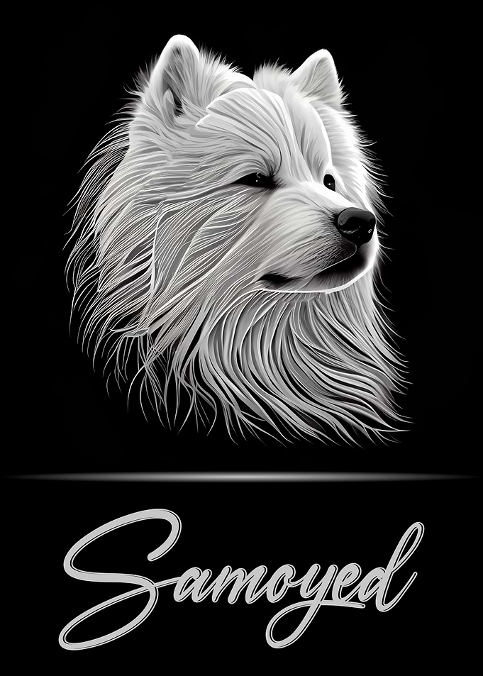 Adorable Samoyed