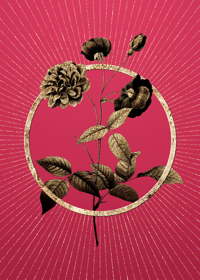 China Rose on Viva Magenta
