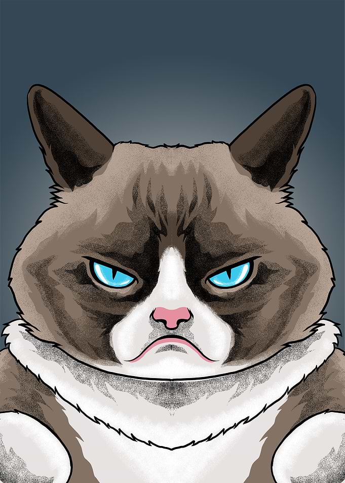 Grumpy Cat