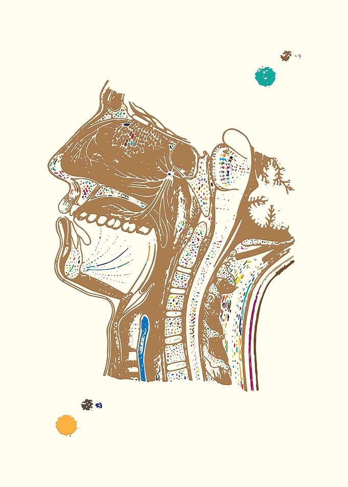 Respiratory system
