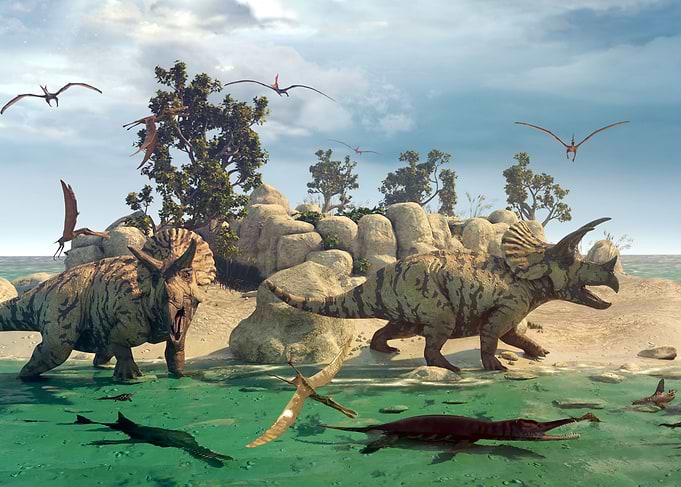 Triceratops dinosaur