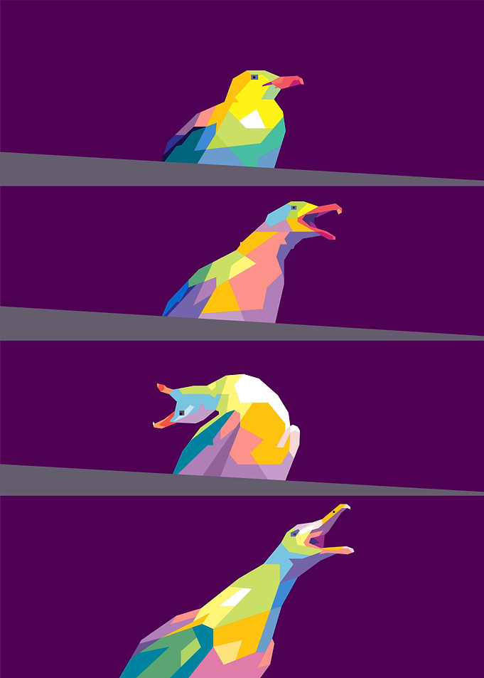 seagull meme