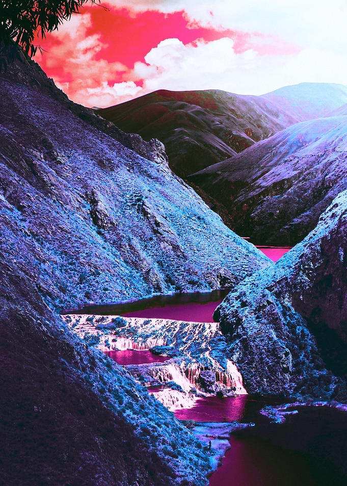 Sunlight Sensations