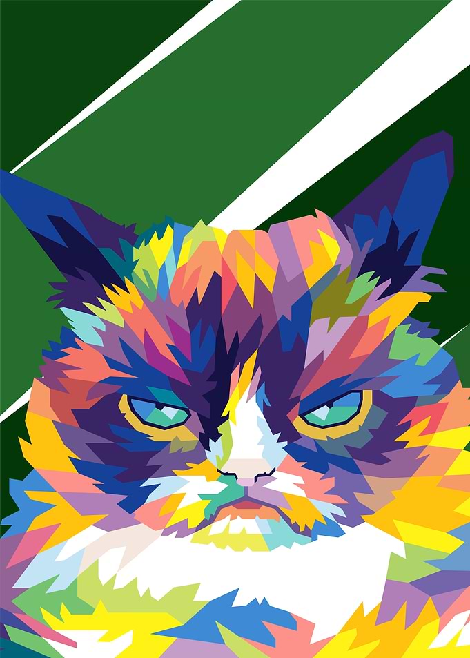 grumpy cat