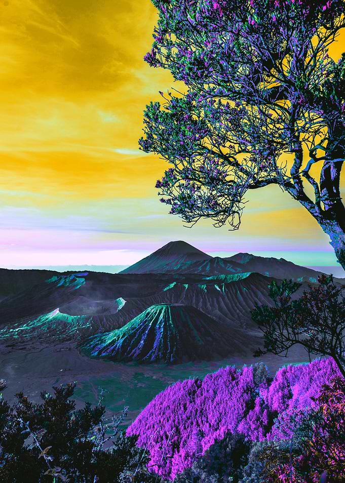 Vista