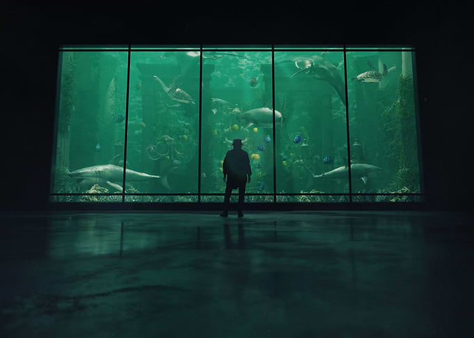 Museum Trip Scene 1
