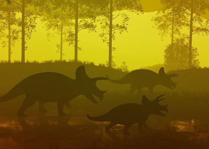 Triceratops dinosaur herd