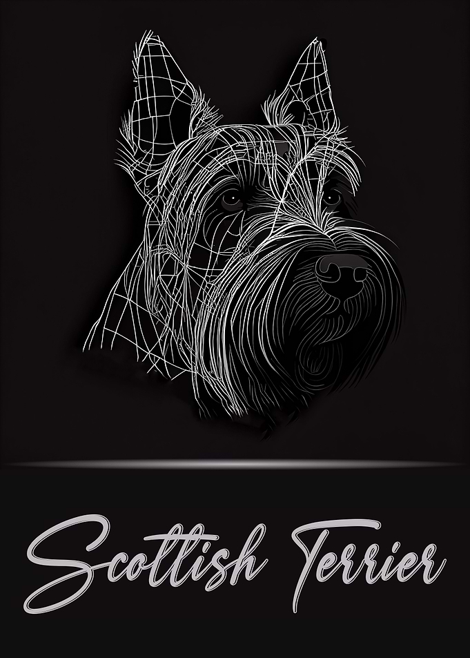 Scottish Terrier Portrait