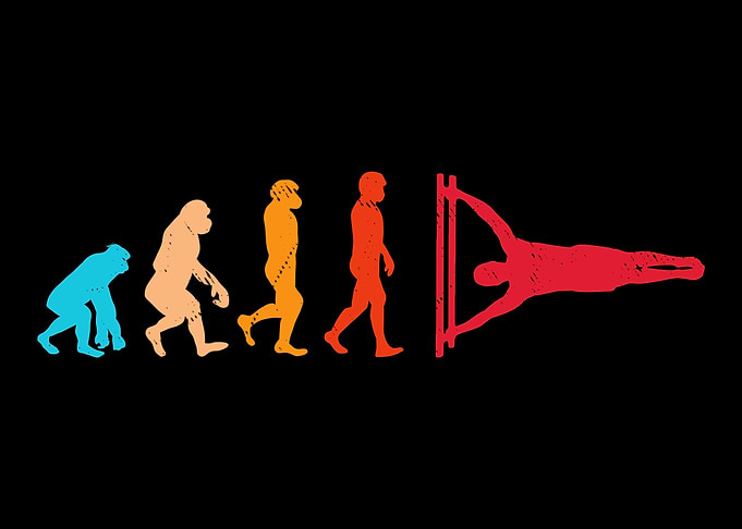 Calisthenics Evolution