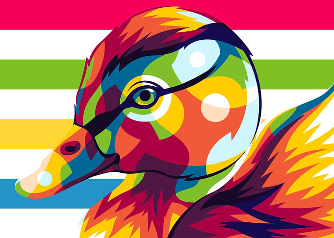The Little Duck