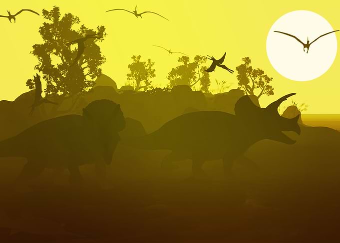 Triceratops silhouette