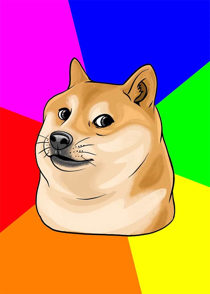 Doge Shiba Meme
