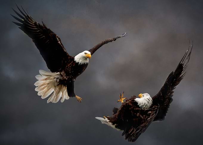 Battle in the Clouds
