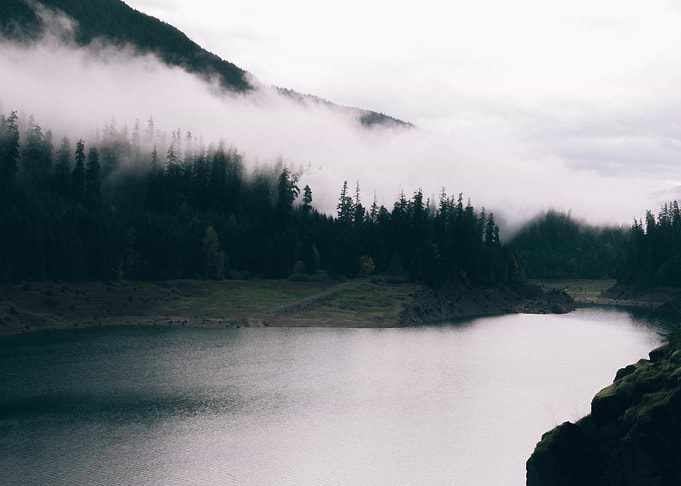 Foggy Forest at Lake