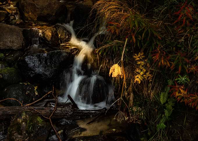 Hidden Creek