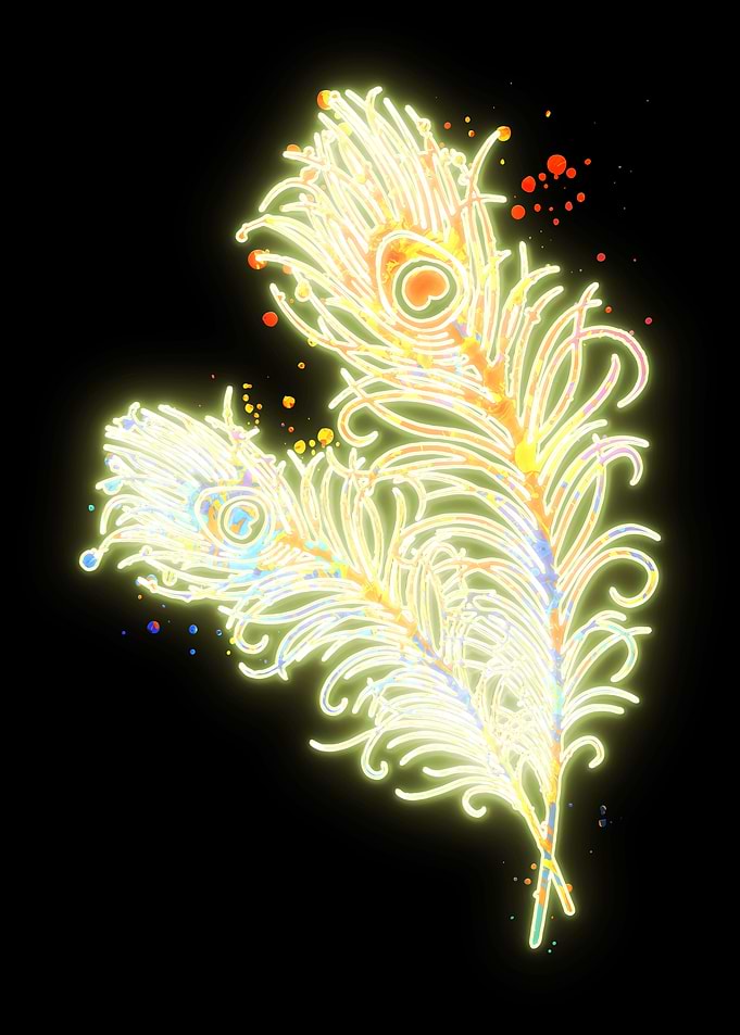 Peacock Feather