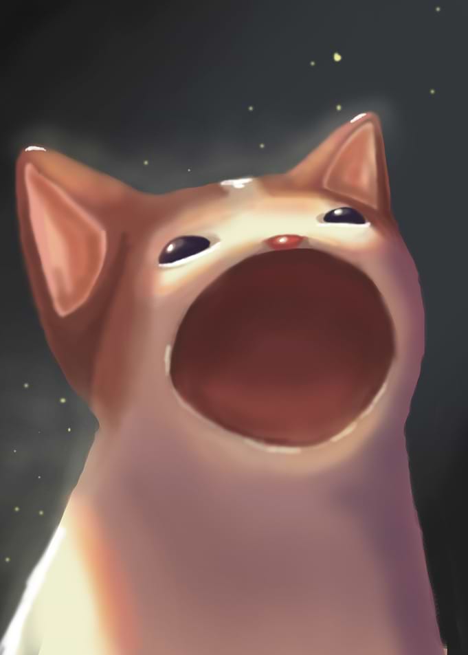 popcat