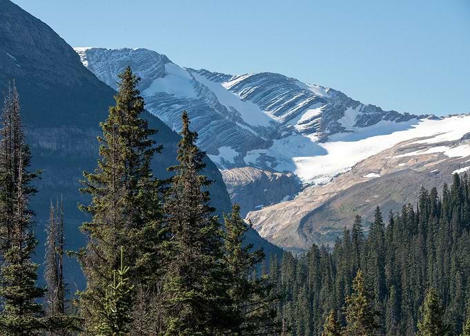 Alpine Mountains in Forest
