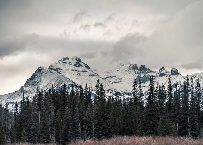 Snowy Mountains in Forest