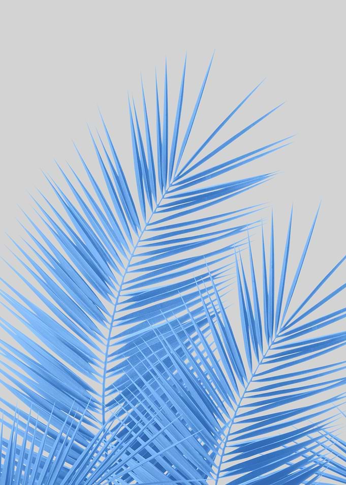 Blue Silver Gray Palm 1
