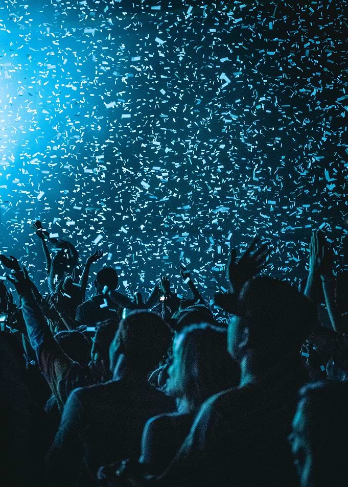 Concert fans