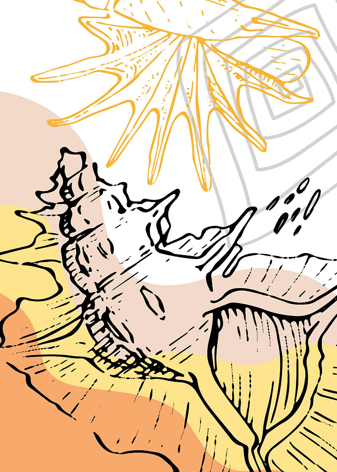 Sea shell